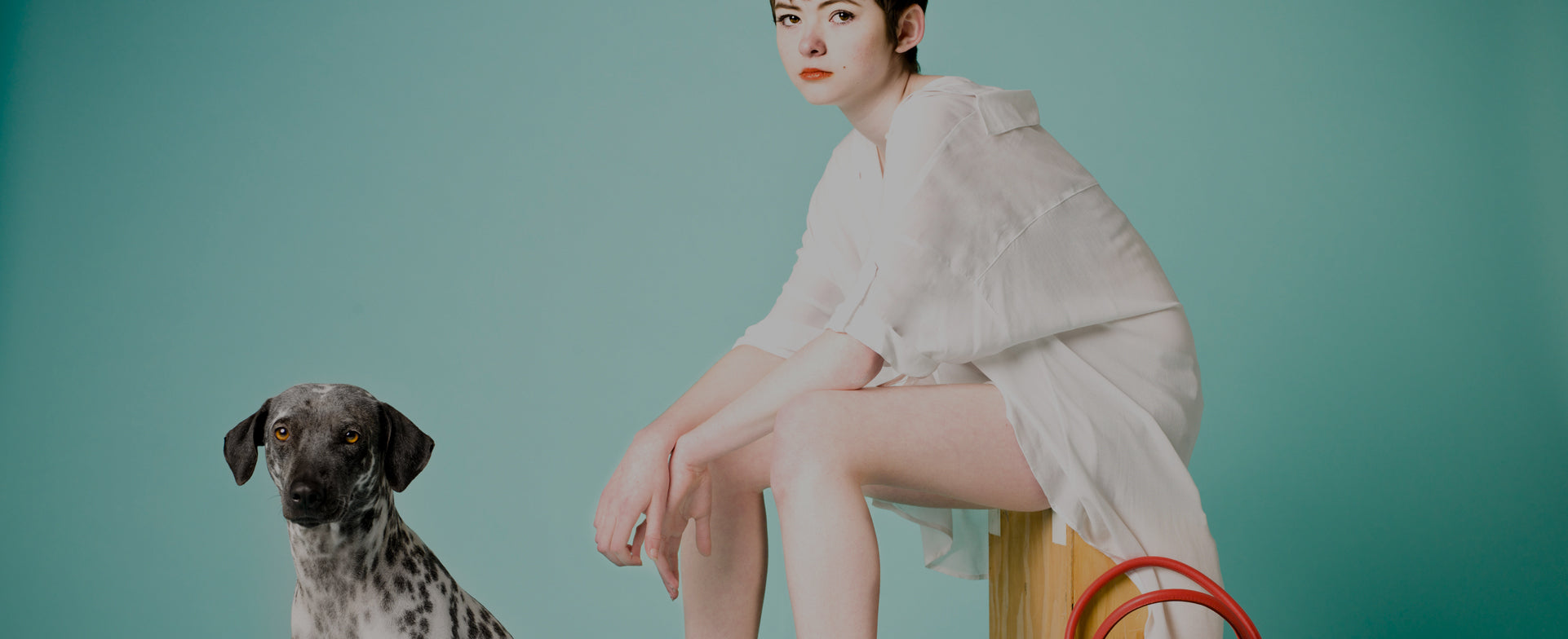 ON SALE - UP TO 45% OFF